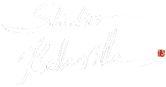 Studio Belleville Paris